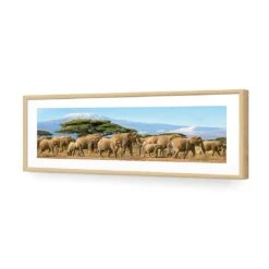 Elephant Under Savannah (Long) 12 Elephant Under Savannah (Long) -WALL ART DESGIN SALE elephant under savannah long acrylic glass with border oak frame 90x30cm 358387