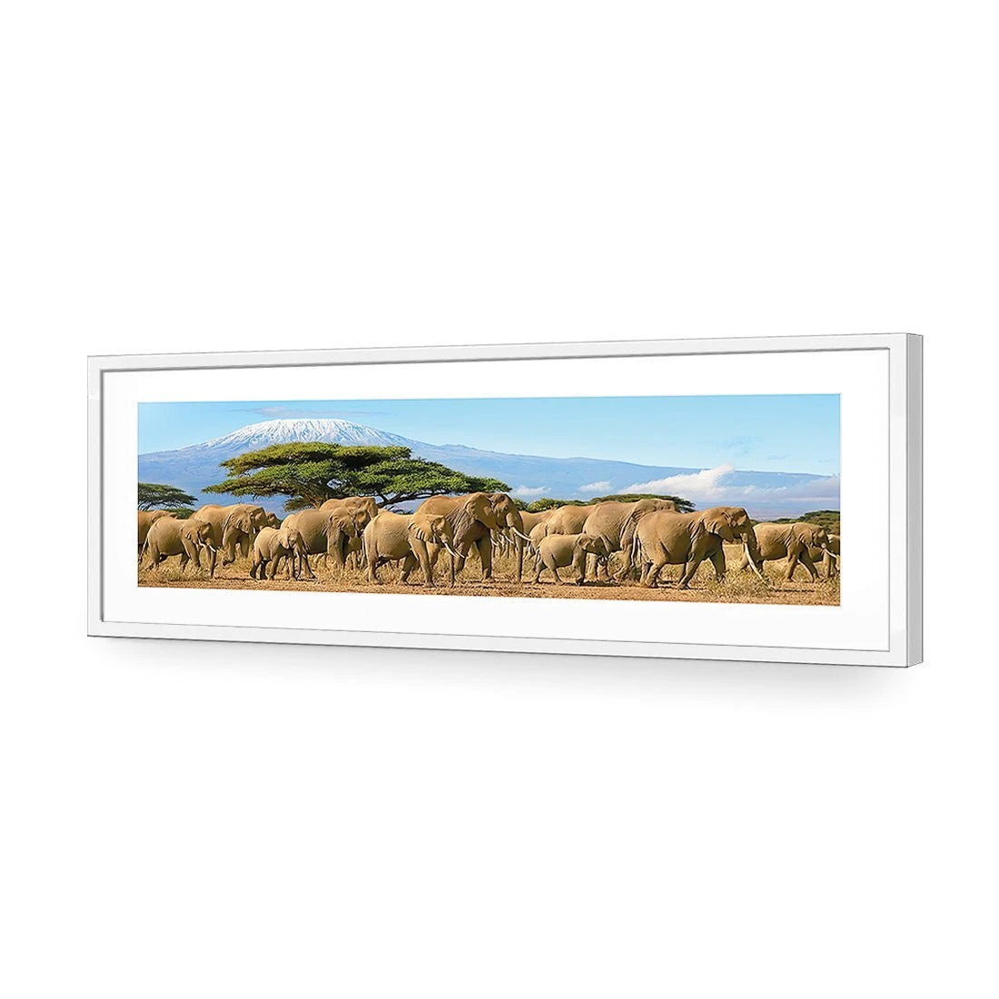 Elephant Under Savannah (Long) Elephant Under Savannah (Long) -WALL ART DESGIN SALE elephant under savannah long acrylic glass with border white frame 90x30cm 671030