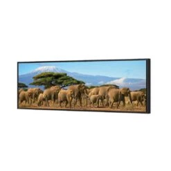 Elephant Under Savannah (Long) 4 Elephant Under Savannah (Long) -WALL ART DESGIN SALE elephant under savannah long canvas black floating frame 60x20cm 865748