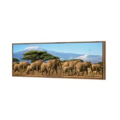 Elephant Under Savannah (Long) 7 Elephant Under Savannah (Long) -WALL ART DESGIN SALE elephant under savannah long canvas natural floating frame 60x20cm 365209