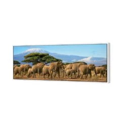 Elephant Under Savannah (Long) 5 Elephant Under Savannah (Long) -WALL ART DESGIN SALE elephant under savannah long canvas white floating frame 60x20cm 514890