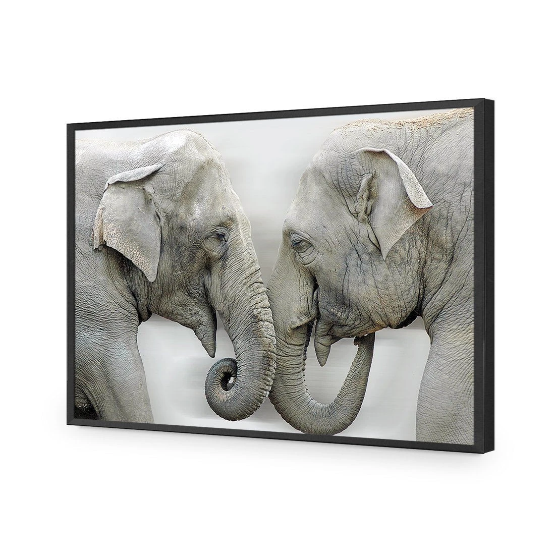 Elephants Kissing Elephants Kissing -WALL ART DESGIN SALE elephants kissing acrylic glass no border black frame 45x30cm 556900