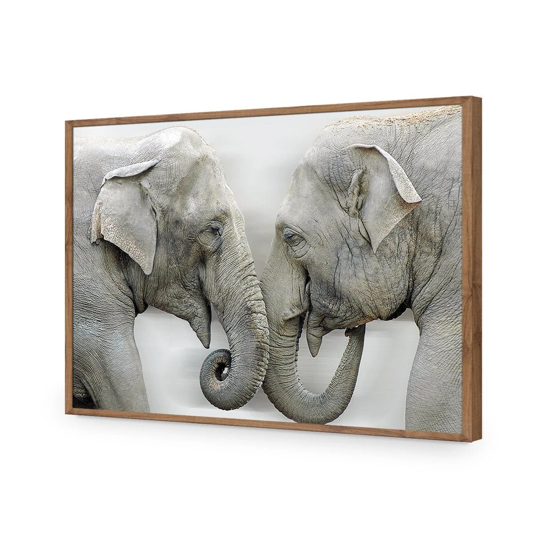 Elephants Kissing Elephants Kissing -WALL ART DESGIN SALE elephants kissing acrylic glass no border natural frame 45x30cm 190142