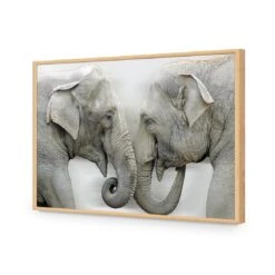 Elephants Kissing 18 Elephants Kissing -WALL ART DESGIN SALE elephants kissing acrylic glass no border oak frame 45x30cm 980390