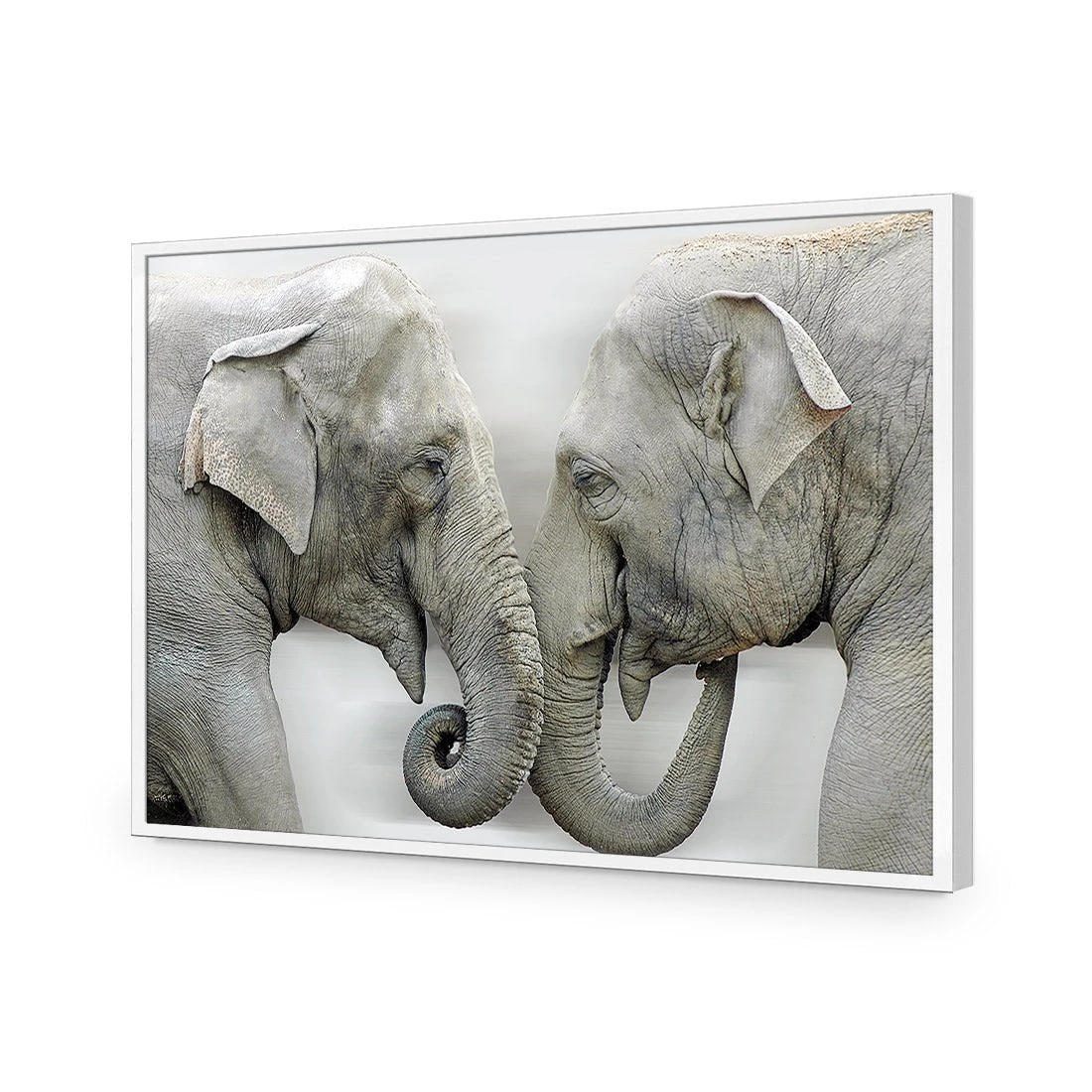 Elephants Kissing Elephants Kissing -WALL ART DESGIN SALE elephants kissing acrylic glass no border white frame 45x30cm 765072