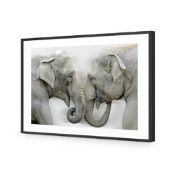 Elephants Kissing 11 Elephants Kissing -WALL ART DESGIN SALE elephants kissing acrylic glass with border black frame 45x30cm 385560