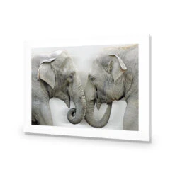 Elephants Kissing 10 Elephants Kissing -WALL ART DESGIN SALE elephants kissing acrylic glass with border no frame 45x30cm 196120