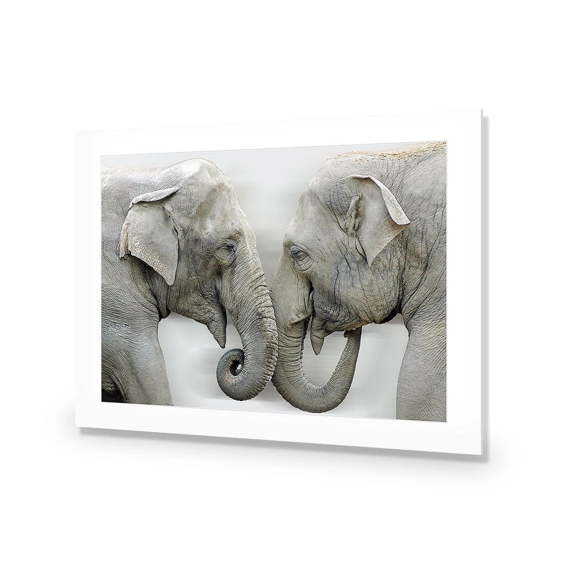 Elephants Kissing Elephants Kissing -WALL ART DESGIN SALE elephants kissing acrylic glass with border no frame 45x30cm 196120