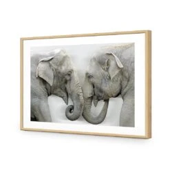 Elephants Kissing 13 Elephants Kissing -WALL ART DESGIN SALE elephants kissing acrylic glass with border oak frame 45x30cm 290312