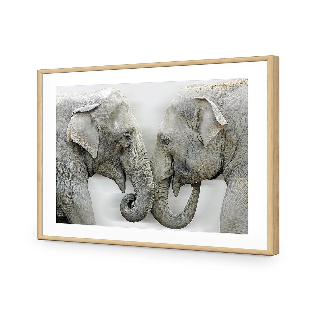 Elephants Kissing Elephants Kissing -WALL ART DESGIN SALE elephants kissing acrylic glass with border oak frame 45x30cm 290312
