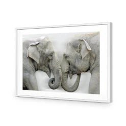 Elephants Kissing 12 Elephants Kissing -WALL ART DESGIN SALE elephants kissing acrylic glass with border white frame 45x30cm 376363