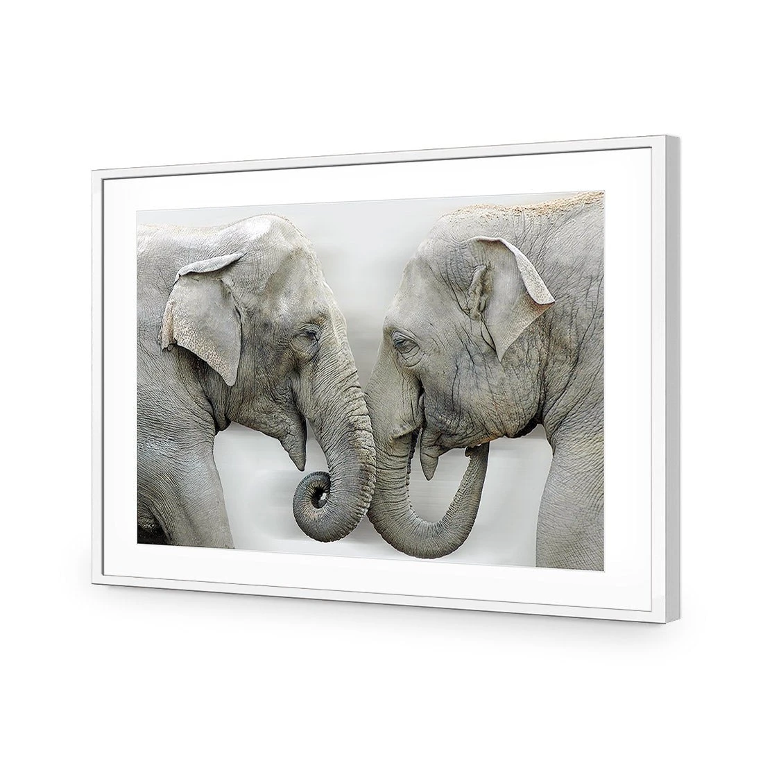 Elephants Kissing Elephants Kissing -WALL ART DESGIN SALE elephants kissing acrylic glass with border white frame 45x30cm 376363