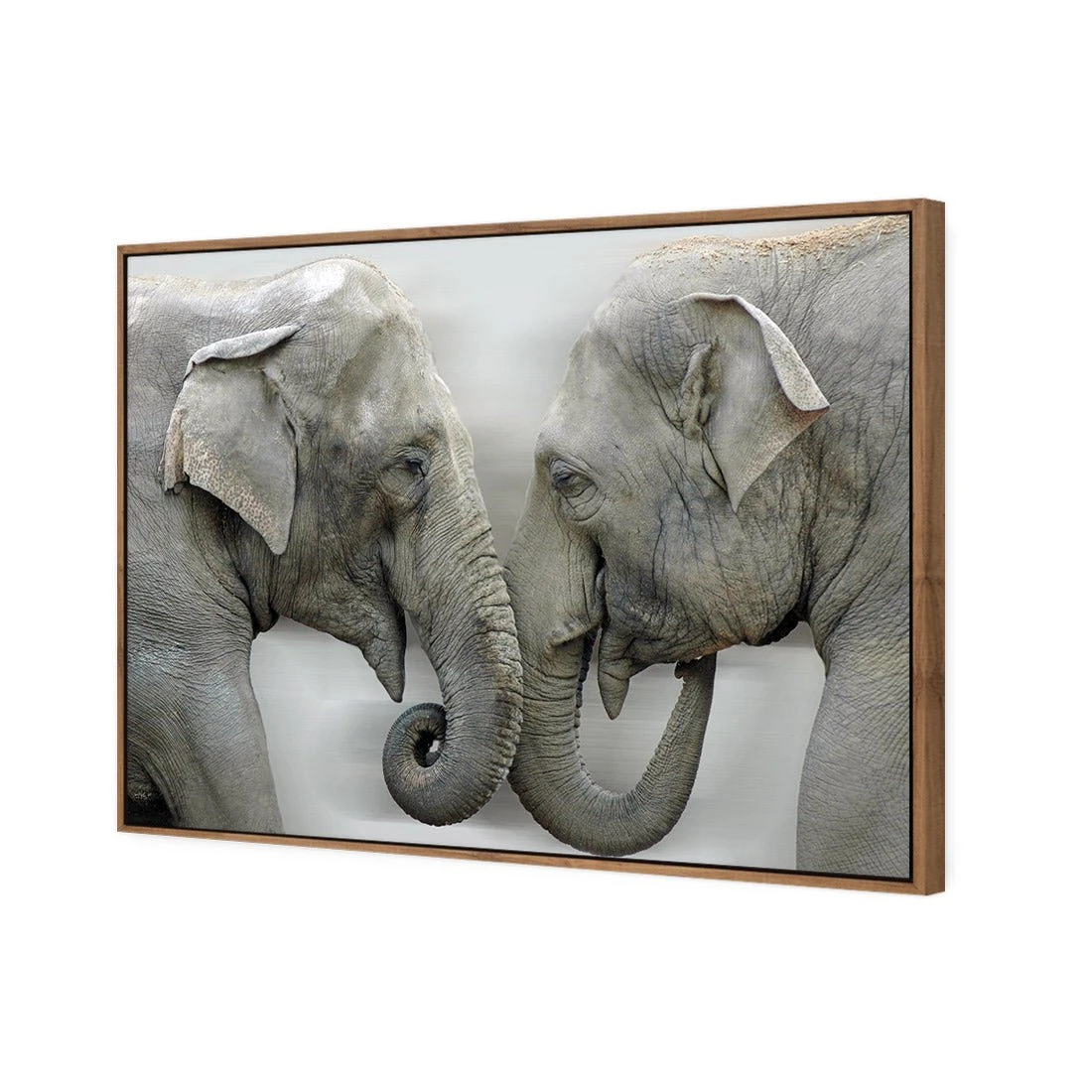 Elephants Kissing Elephants Kissing -WALL ART DESGIN SALE elephants kissing canvas natural floating frame 45x30cm 280341