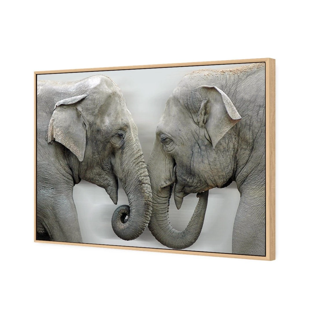Elephants Kissing Elephants Kissing -WALL ART DESGIN SALE elephants kissing canvas oak floating frame 45x30cm 486854