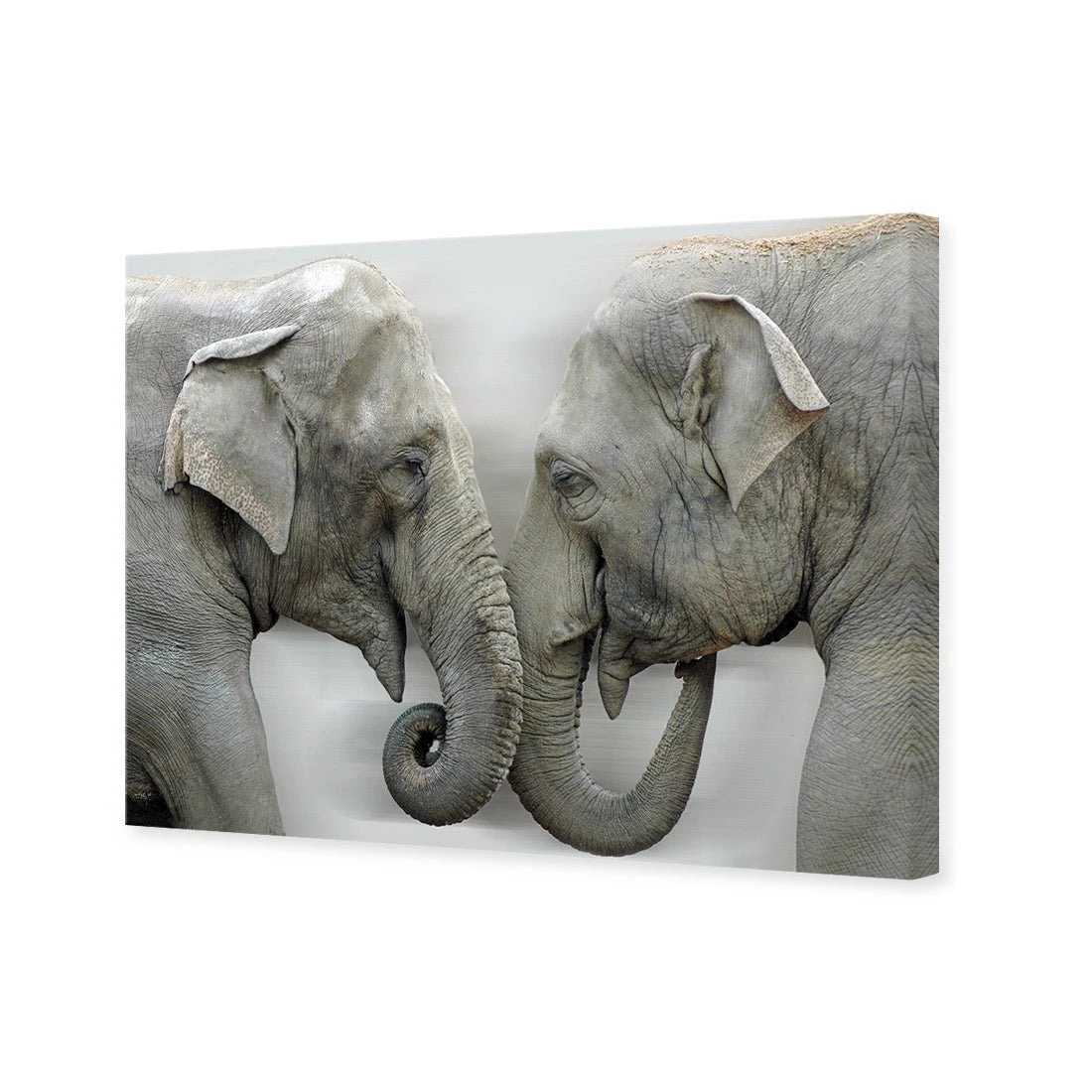 Elephants Kissing Elephants Kissing -WALL ART DESGIN SALE elephants kissing canvas stretched canvas 45x30cm 874036