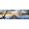 Escaped (long) -WALL ART DESGIN SALE escaped long canvas stretched canvas 60x20cm 853033