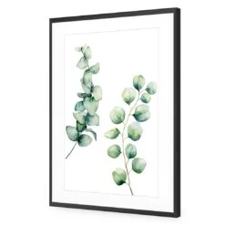 Eucalyptus Duo Acrylic Print Art 4 Eucalyptus Duo Acrylic Print Art -WALL ART DESGIN SALE eucalyptus duo acrylic print art with border black frame 45x30cm 926079