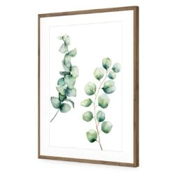 Eucalyptus Duo Acrylic Print Art 6 Eucalyptus Duo Acrylic Print Art -WALL ART DESGIN SALE eucalyptus duo acrylic print art with border natural frame 45x30cm 529674