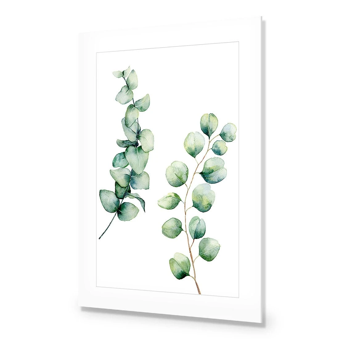 Eucalyptus Duo Acrylic Print Art Eucalyptus Duo Acrylic Print Art -WALL ART DESGIN SALE eucalyptus duo acrylic print art with border no frame 45x30cm 742051
