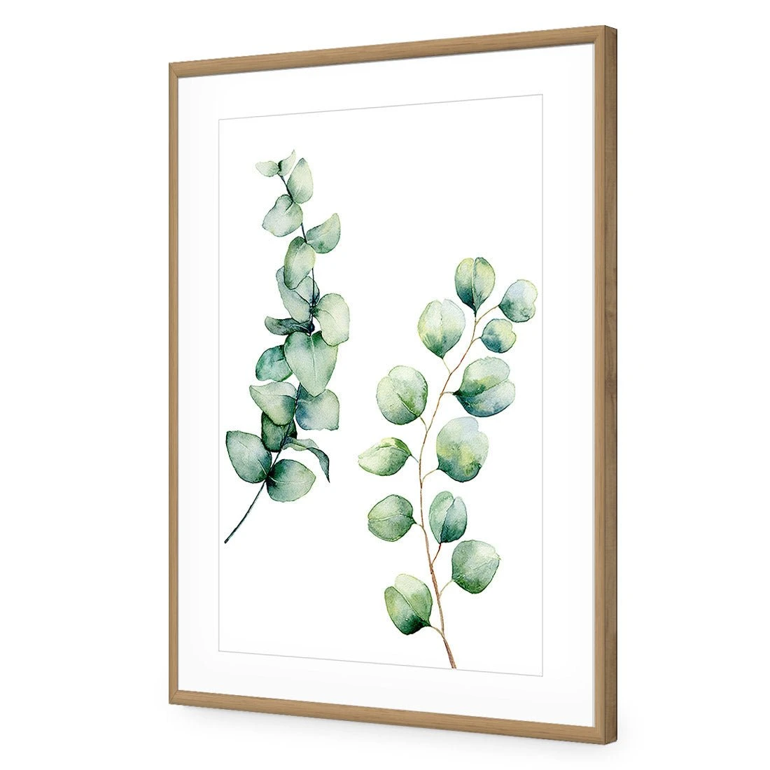 Eucalyptus Duo Acrylic Print Art Eucalyptus Duo Acrylic Print Art -WALL ART DESGIN SALE eucalyptus duo acrylic print art with border oak frame 45x30cm 336417
