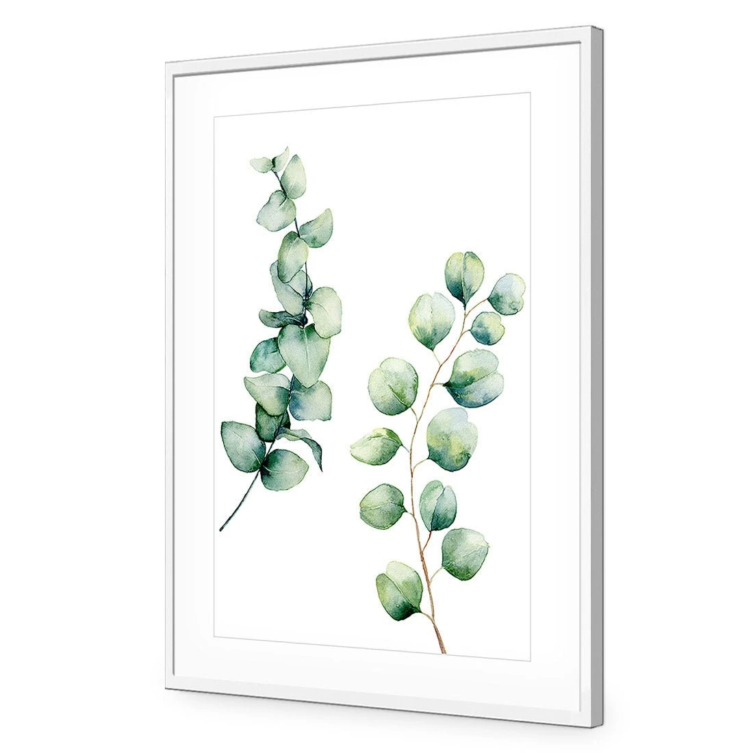Eucalyptus Duo Acrylic Print Art Eucalyptus Duo Acrylic Print Art -WALL ART DESGIN SALE eucalyptus duo acrylic print art with border white frame 45x30cm 868154