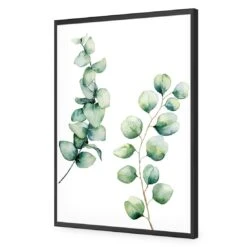 Eucalyptus Duo Acrylic Print Art 9 Eucalyptus Duo Acrylic Print Art -WALL ART DESGIN SALE eucalyptus duo acrylic print art without border black frame 45x30cm 873474