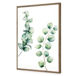 Eucalyptus Duo Acrylic Print Art 11 Eucalyptus Duo Acrylic Print Art -WALL ART DESGIN SALE eucalyptus duo acrylic print art without border natural frame 45x30cm 721590