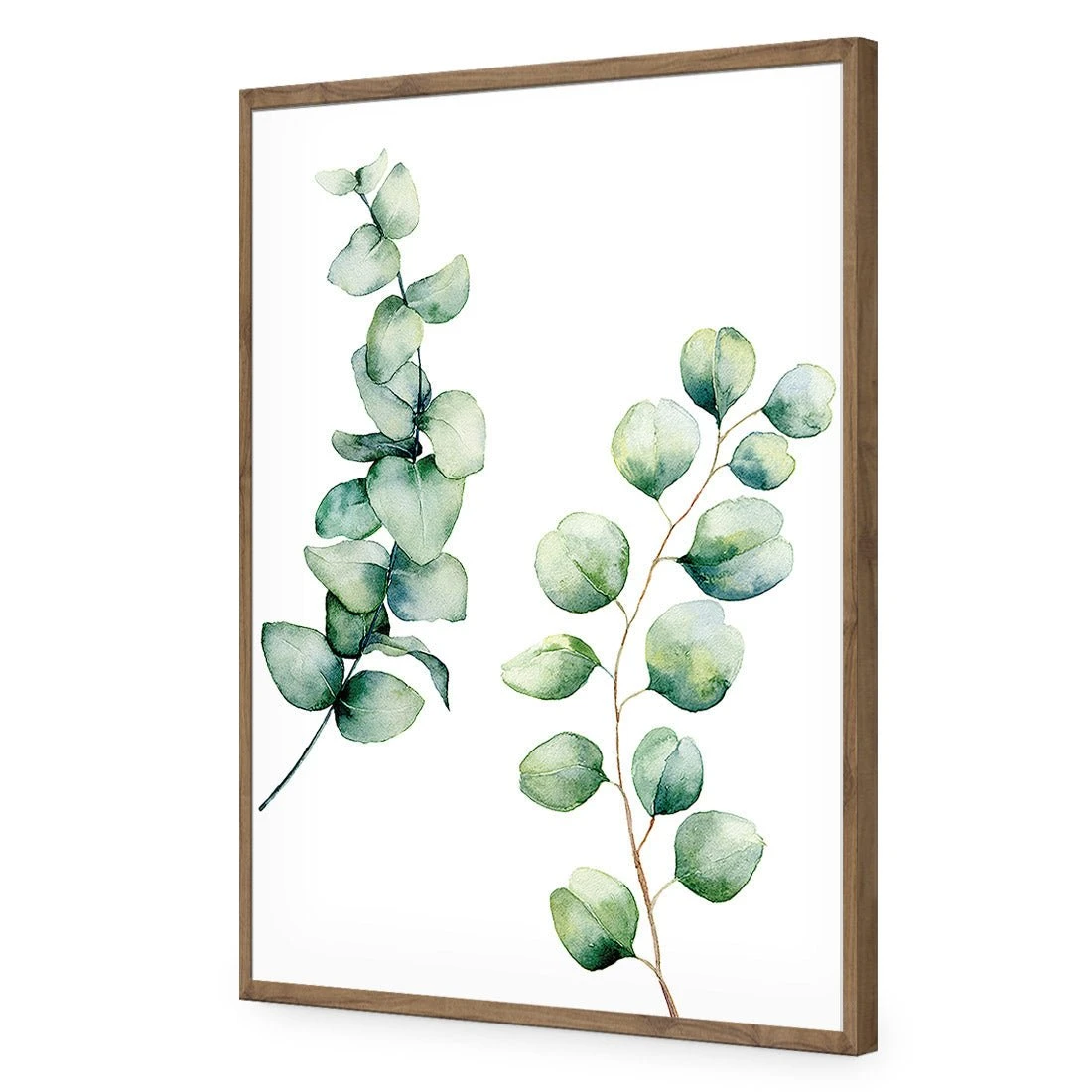 Eucalyptus Duo Acrylic Print Art Eucalyptus Duo Acrylic Print Art -WALL ART DESGIN SALE eucalyptus duo acrylic print art without border natural frame 45x30cm 721590