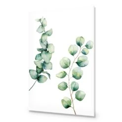Eucalyptus Duo Acrylic Print Art 8 Eucalyptus Duo Acrylic Print Art -WALL ART DESGIN SALE eucalyptus duo acrylic print art without border no frame 45x30cm 829802