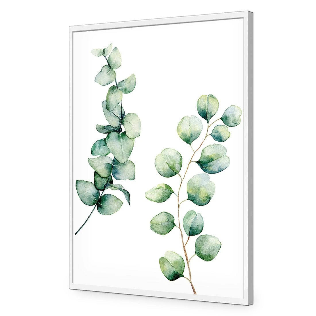 Eucalyptus Duo Acrylic Print Art Eucalyptus Duo Acrylic Print Art -WALL ART DESGIN SALE eucalyptus duo acrylic print art without border white frame 45x30cm 521868