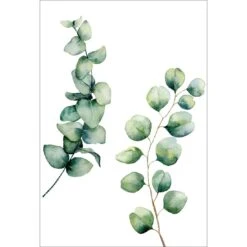 Eucalyptus Duo Canvas Art