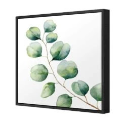 Eucalyptus Solo (Square) 4 Eucalyptus Solo (Square) -WALL ART DESGIN SALE eucalyptus solo square canvas stretched canvas 37x37cm 183431