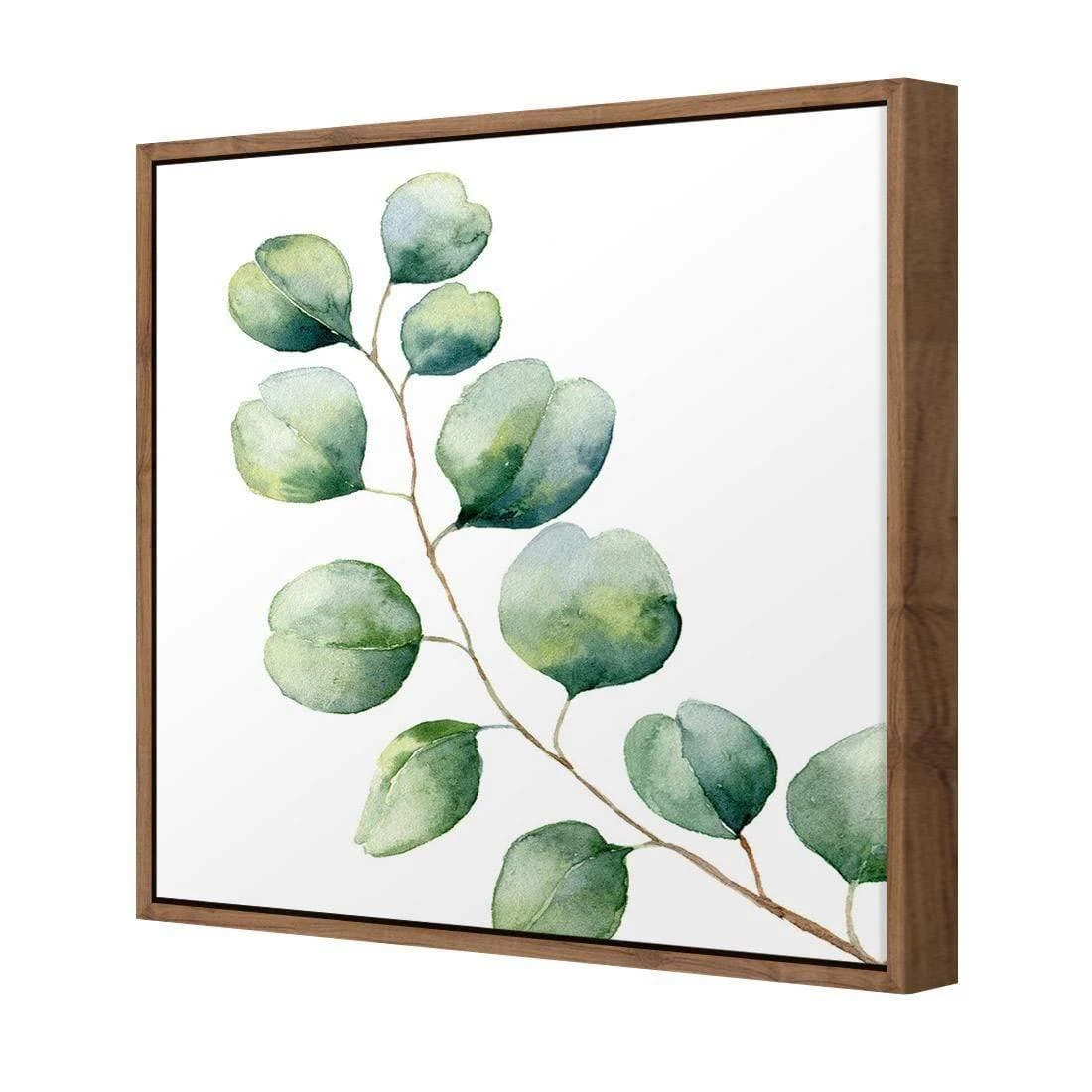 Eucalyptus Solo (Square) Eucalyptus Solo (Square) -WALL ART DESGIN SALE eucalyptus solo square canvas stretched canvas 37x37cm 394601