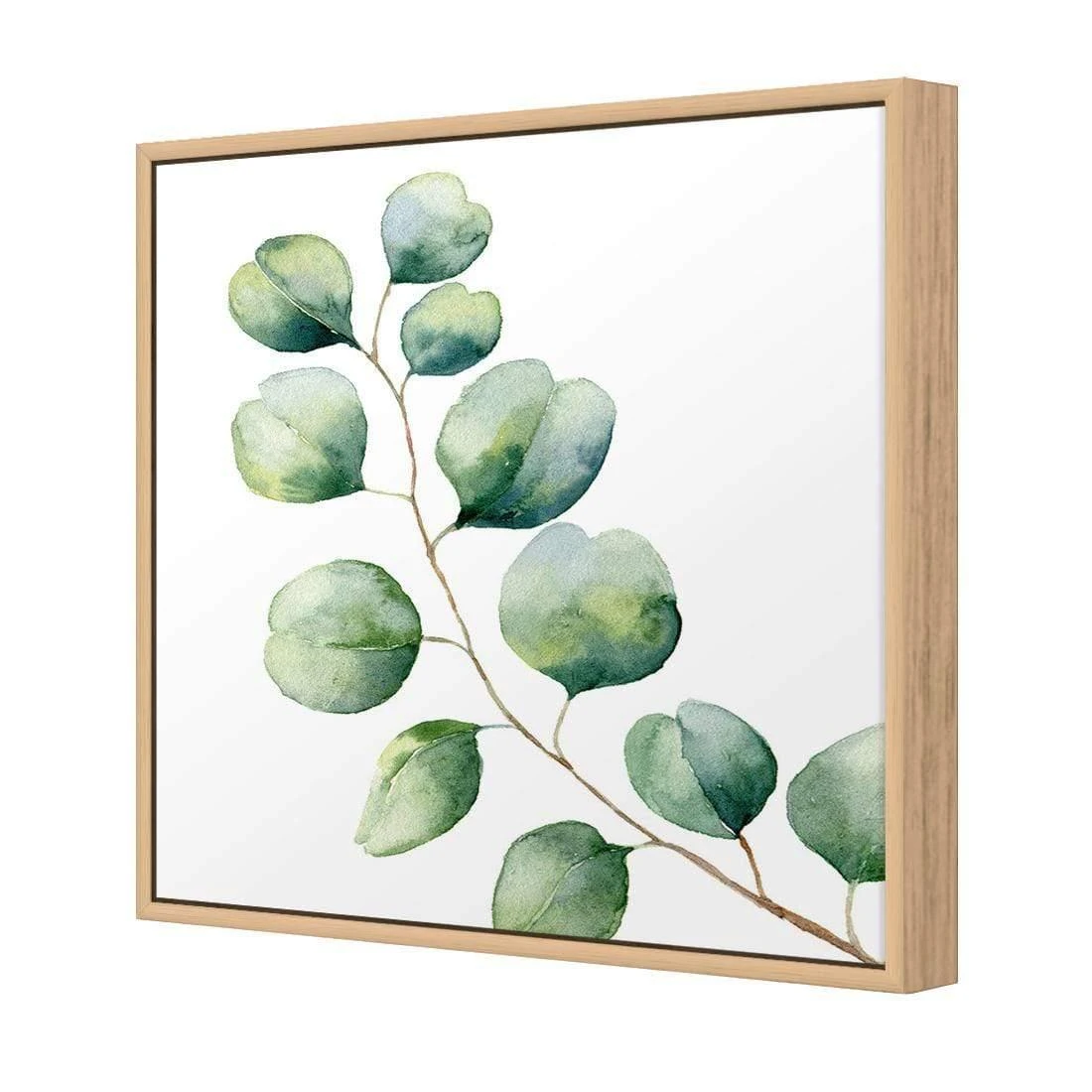 Eucalyptus Solo (Square) Eucalyptus Solo (Square) -WALL ART DESGIN SALE eucalyptus solo square canvas stretched canvas 37x37cm 421326
