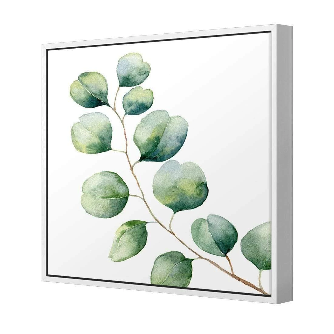 Eucalyptus Solo (Square) Eucalyptus Solo (Square) -WALL ART DESGIN SALE eucalyptus solo square canvas stretched canvas 37x37cm 910270