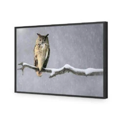 Eurasian Eagle Owl 15 Eurasian Eagle Owl -WALL ART DESGIN SALE eurasian eagle owl acrylic glass no border black frame 45x30cm 504945