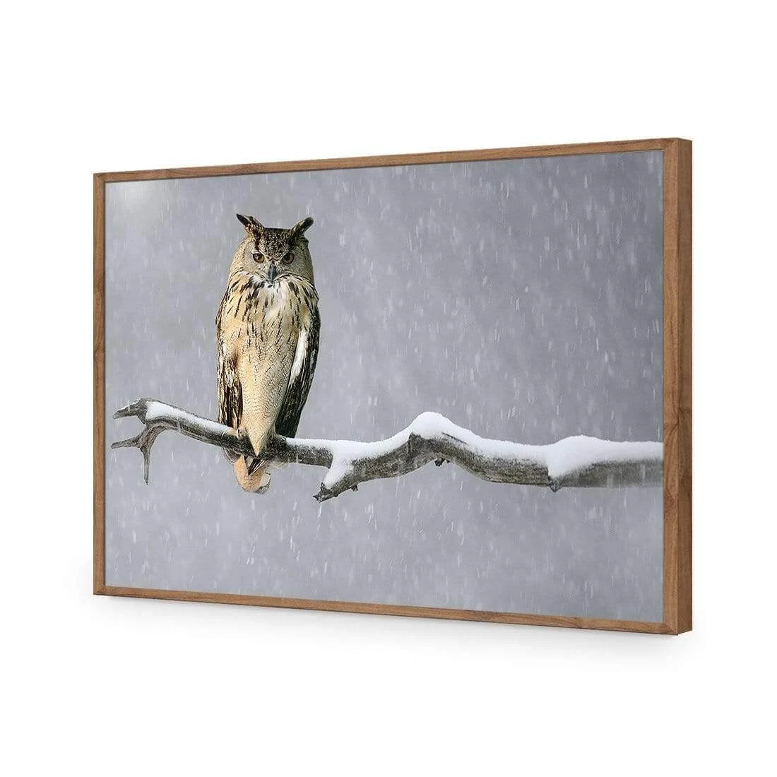 Eurasian Eagle Owl Eurasian Eagle Owl -WALL ART DESGIN SALE eurasian eagle owl acrylic glass no border natural frame 45x30cm 288154