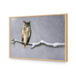 Eurasian Eagle Owl 17 Eurasian Eagle Owl -WALL ART DESGIN SALE eurasian eagle owl acrylic glass no border oak frame 45x30cm 855047