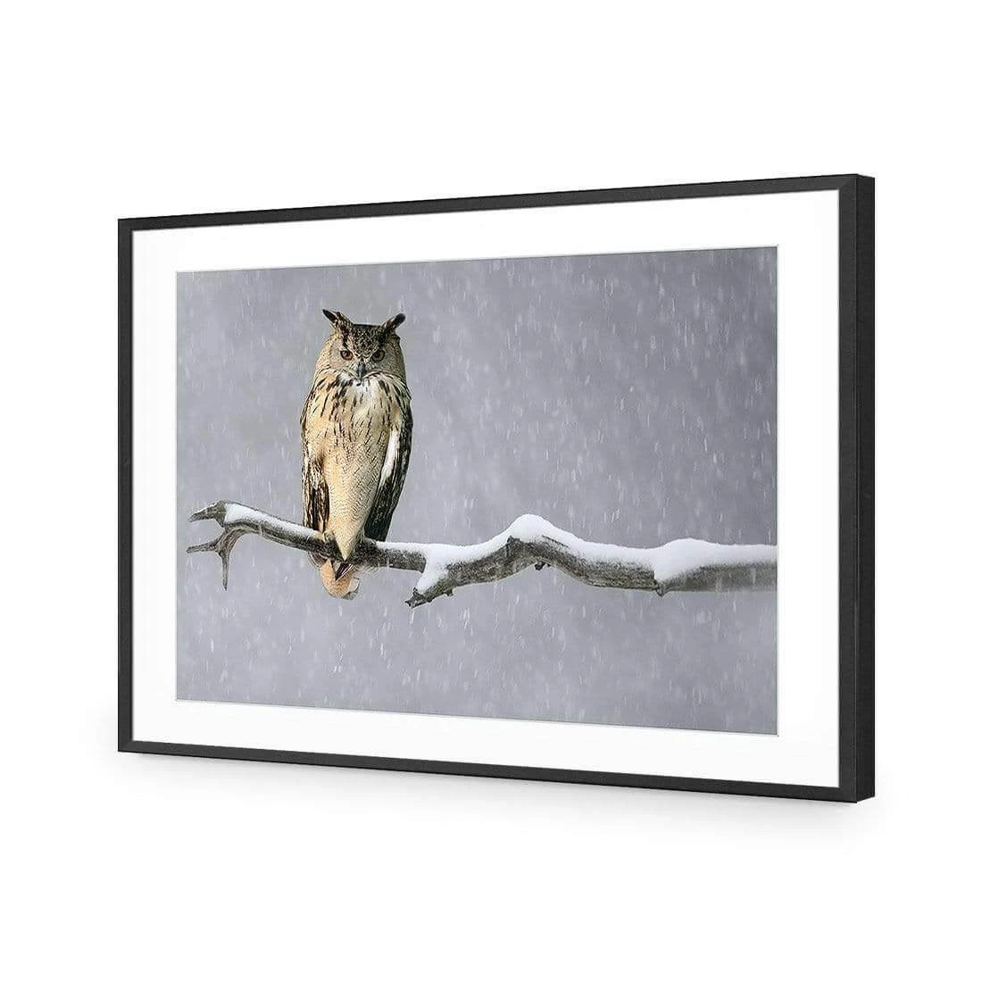 Eurasian Eagle Owl Eurasian Eagle Owl -WALL ART DESGIN SALE eurasian eagle owl acrylic glass with border black frame 45x30cm 750472