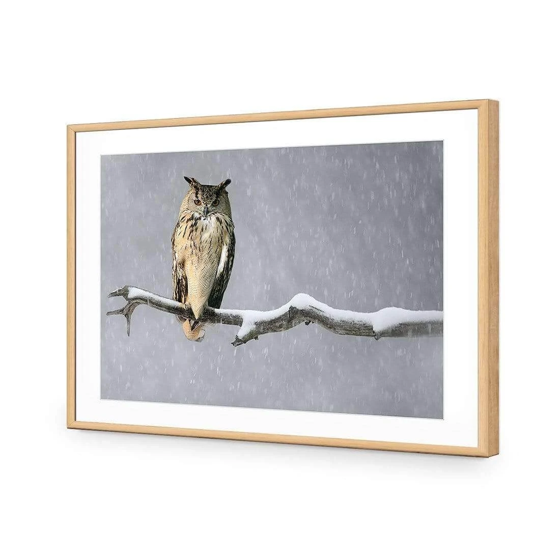 Eurasian Eagle Owl Eurasian Eagle Owl -WALL ART DESGIN SALE eurasian eagle owl acrylic glass with border oak frame 45x30cm 414980