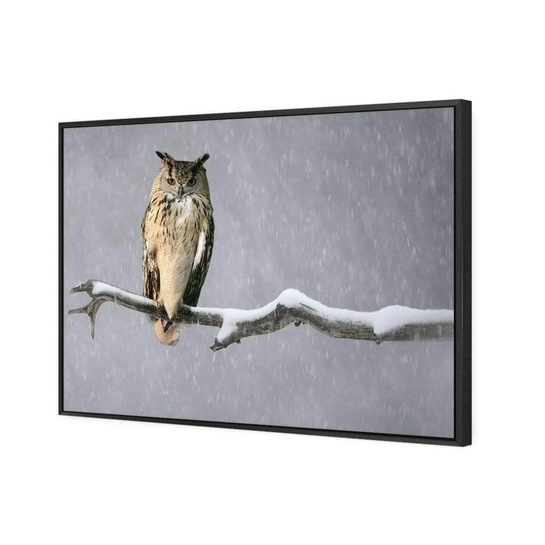 Eurasian Eagle Owl Eurasian Eagle Owl -WALL ART DESGIN SALE eurasian eagle owl canvas black floating frame 45x30cm 545706