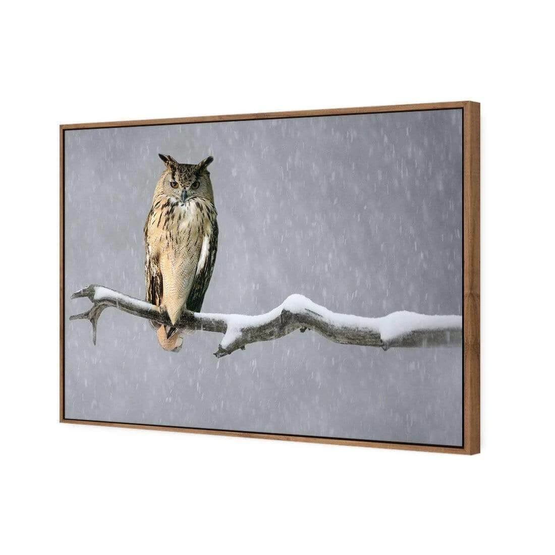 Eurasian Eagle Owl Eurasian Eagle Owl -WALL ART DESGIN SALE eurasian eagle owl canvas natural floating frame 45x30cm 722628