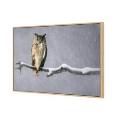 Eurasian Eagle Owl 6 Eurasian Eagle Owl -WALL ART DESGIN SALE eurasian eagle owl canvas oak floating frame 45x30cm 201654
