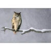 Eurasian Eagle Owl -WALL ART DESGIN SALE eurasian eagle owl canvas stretched canvas 45x30cm 242509