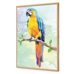 Exotic Macaw, Watercolour 18 Exotic Macaw, Watercolour -WALL ART DESGIN SALE exotic macaw watercolour canvas stretched canvas 45x30cm 161889