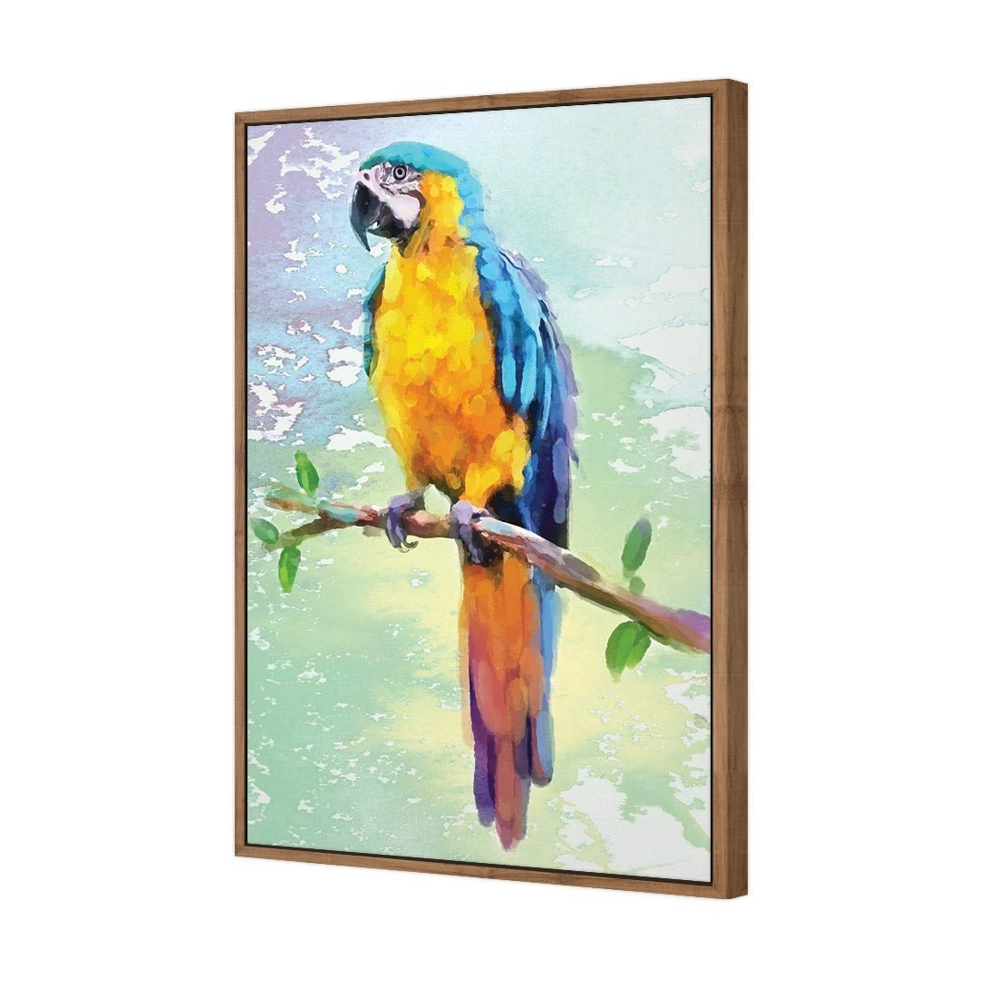 Exotic Macaw, Watercolour Exotic Macaw, Watercolour -WALL ART DESGIN SALE exotic macaw watercolour canvas stretched canvas 45x30cm 371594