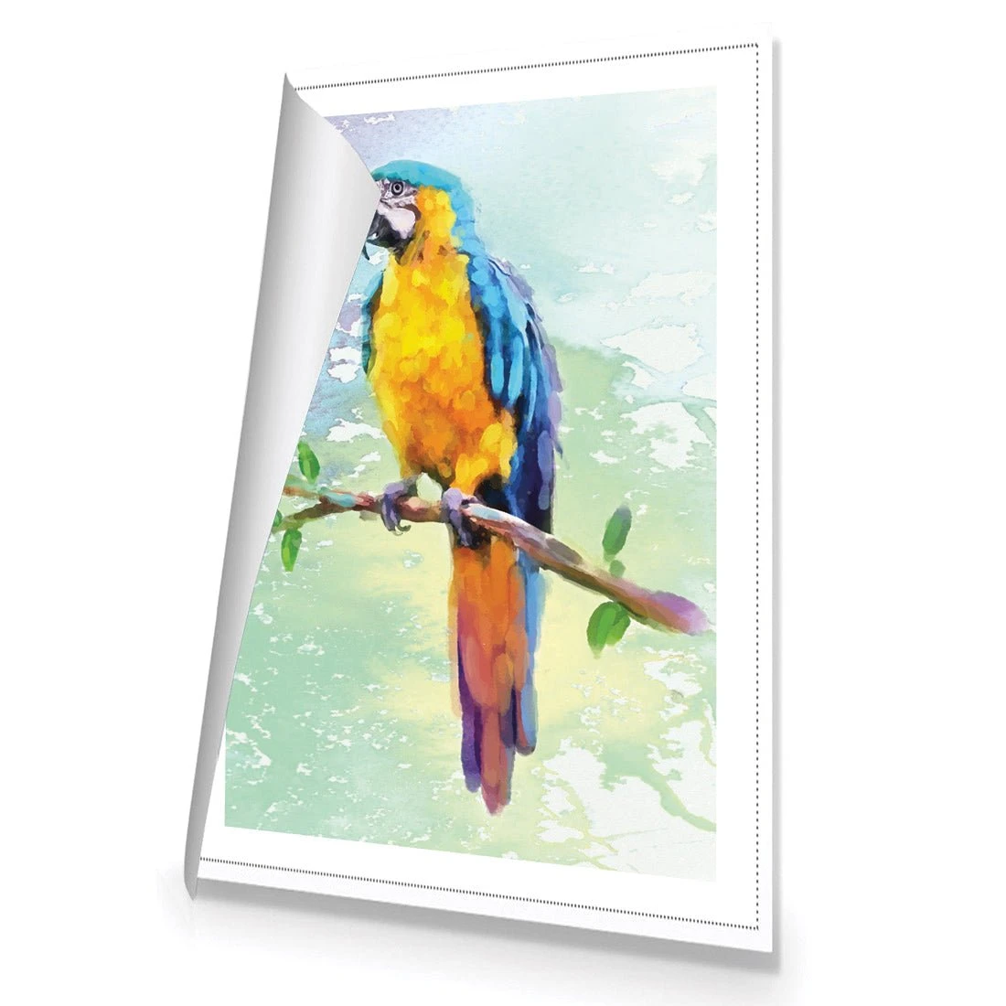 Exotic Macaw, Watercolour Exotic Macaw, Watercolour -WALL ART DESGIN SALE exotic macaw watercolour canvas stretched canvas 45x30cm 466861