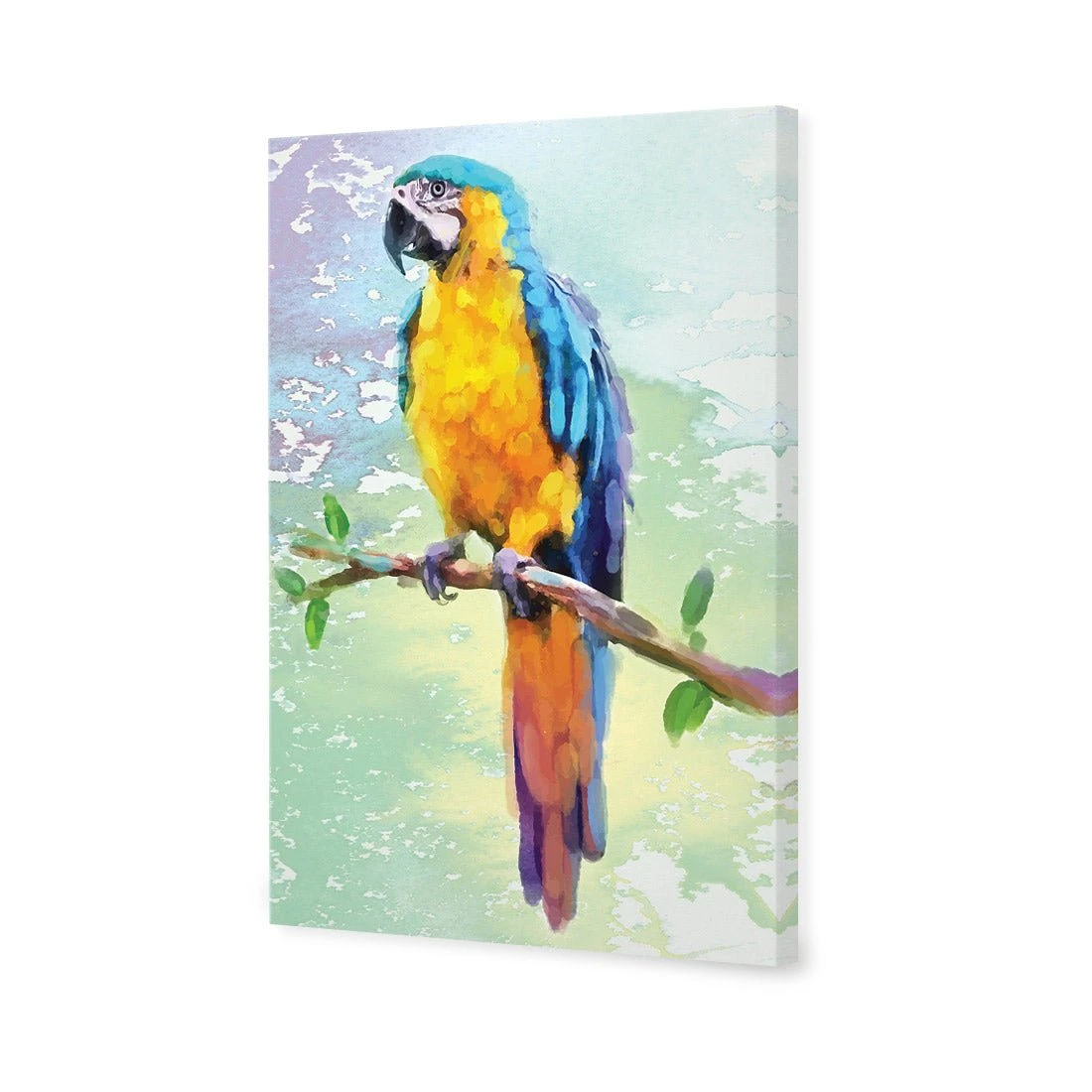 Exotic Macaw, Watercolour Exotic Macaw, Watercolour -WALL ART DESGIN SALE exotic macaw watercolour canvas stretched canvas 45x30cm 531889