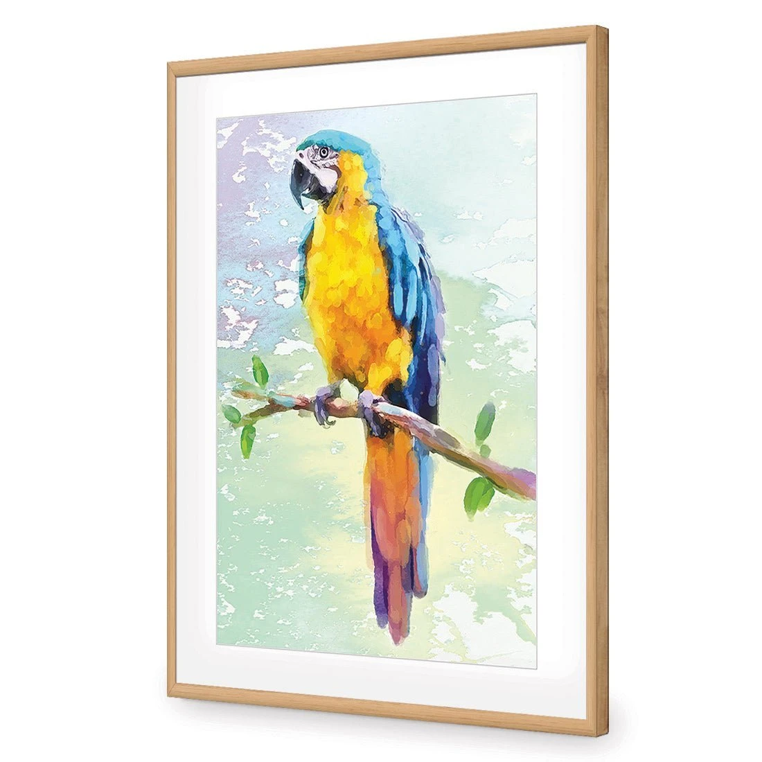 Exotic Macaw, Watercolour Exotic Macaw, Watercolour -WALL ART DESGIN SALE exotic macaw watercolour canvas stretched canvas 45x30cm 603236