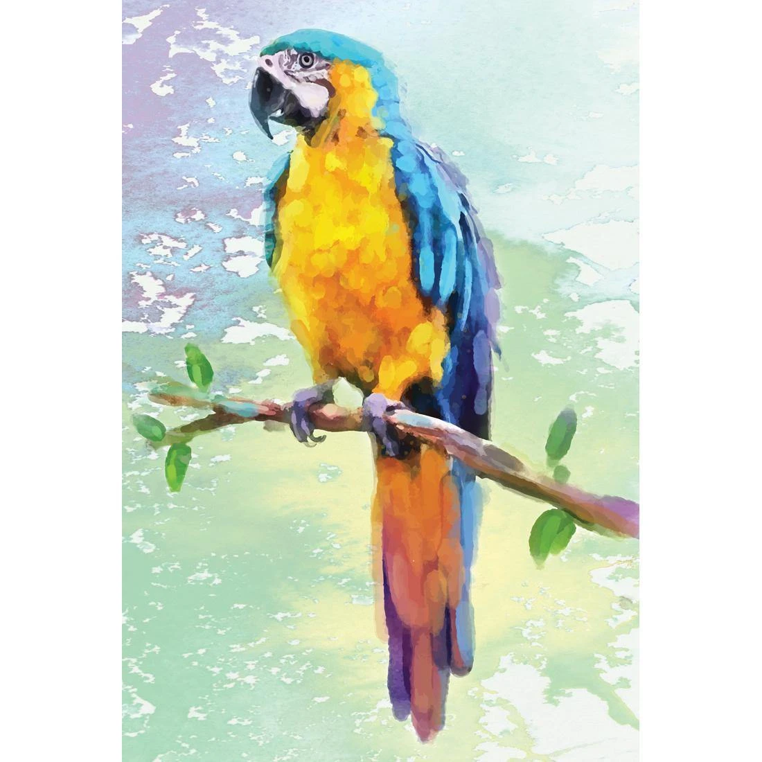 Exotic Macaw, Watercolour Exotic Macaw, Watercolour -WALL ART DESGIN SALE exotic macaw watercolour canvas stretched canvas 45x30cm 647273